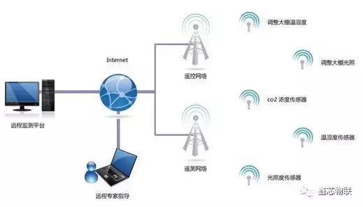 物联网智能畜禽养殖管理系统 开启现代养殖新篇章